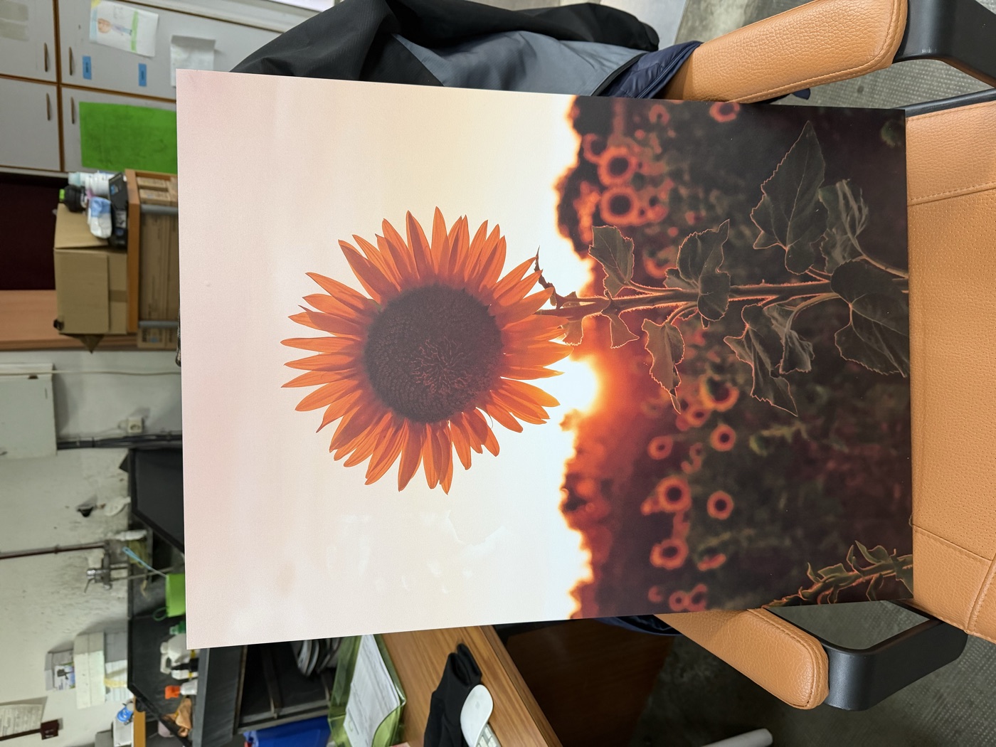 Panel girasol UV